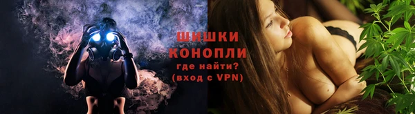 apvp Бородино