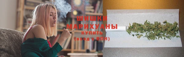 apvp Бородино