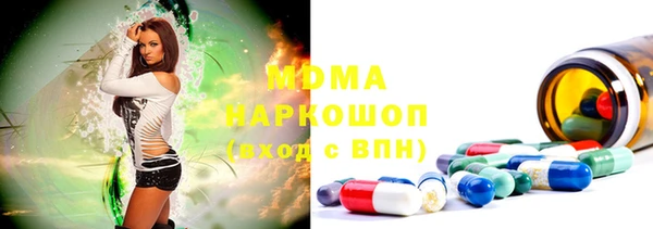 apvp Бородино