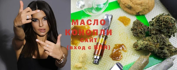 apvp Бородино