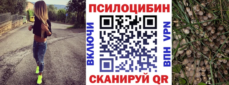 Галлюциногенные грибы Cubensis  гидра ссылка  Славянск-на-Кубани 